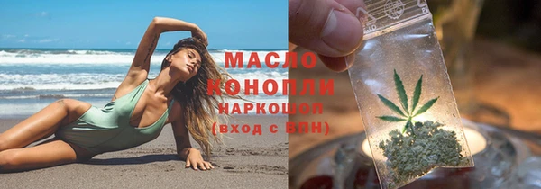 индика Аркадак