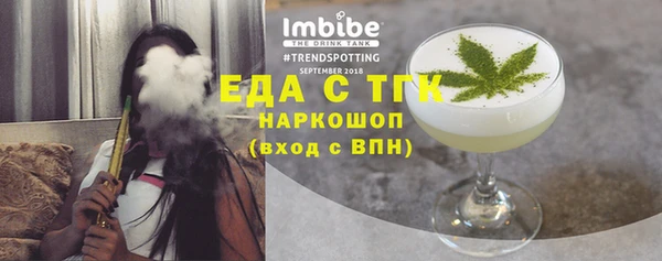 индика Аркадак