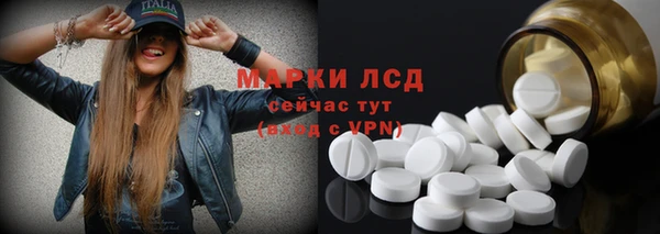 тгк Алзамай