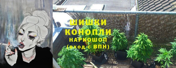 индика Аркадак