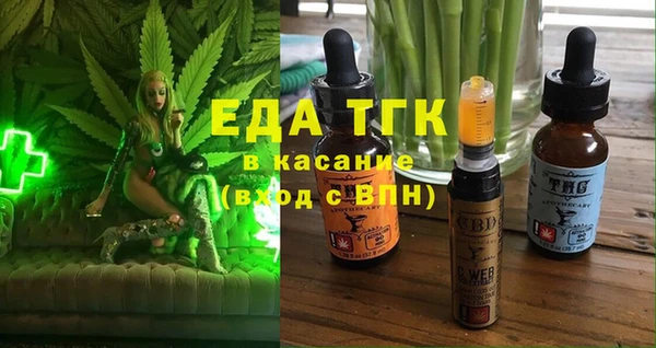 индика Аркадак