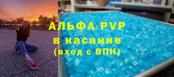 индика Аркадак