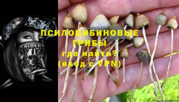 мескалин Арсеньев