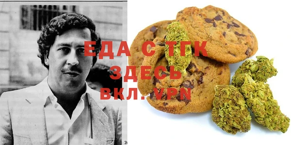 индика Аркадак