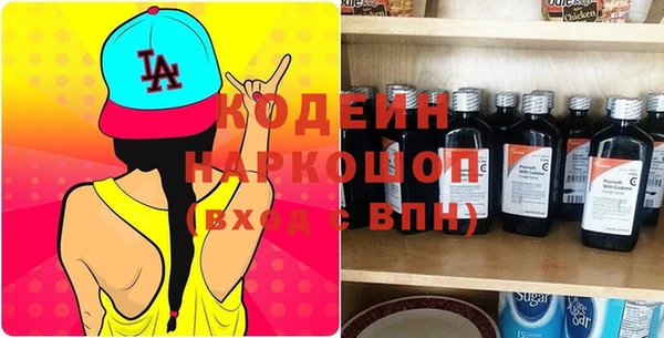индика Аркадак