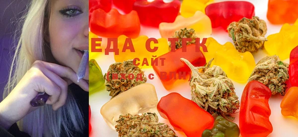 индика Аркадак