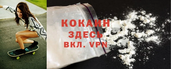 индика Аркадак