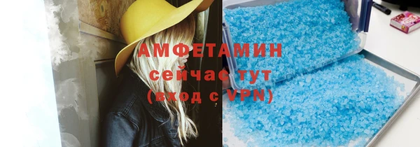индика Аркадак