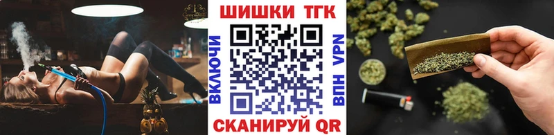 наркота  Ельня  Конопля сатива 